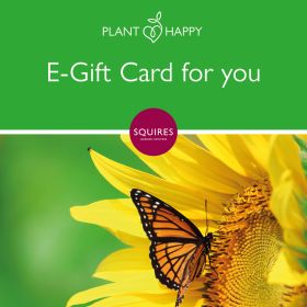 Squire's E-Gift Card - Butterfly